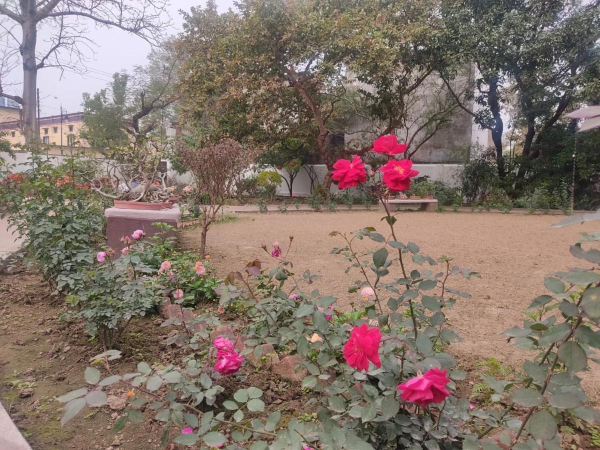 Vatika Homestay Varanasi Bagian luar foto