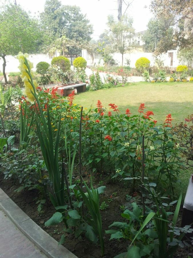 Vatika Homestay Varanasi Bagian luar foto