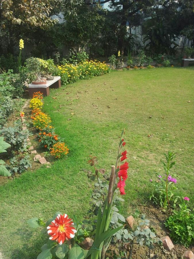 Vatika Homestay Varanasi Bagian luar foto